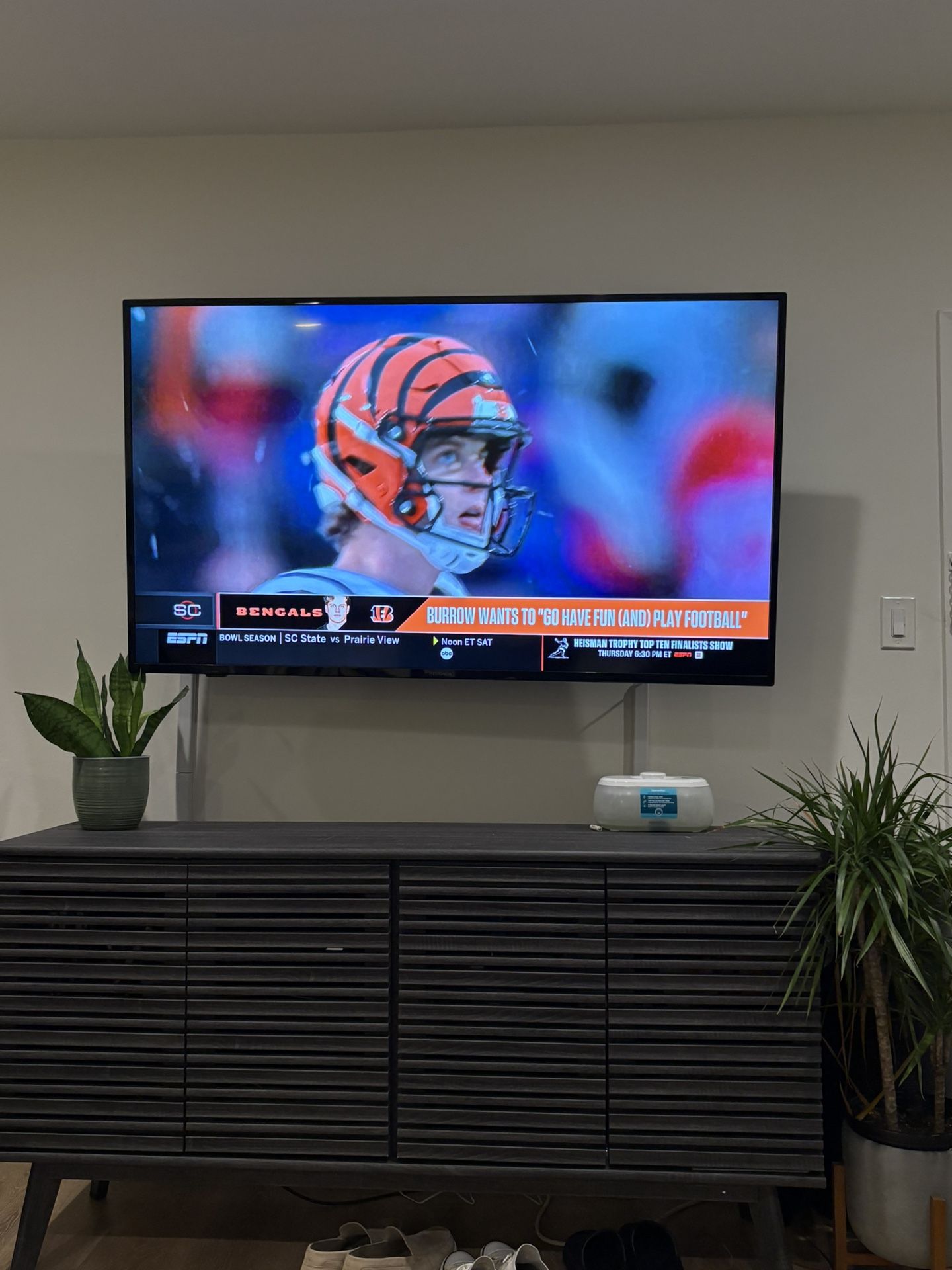 INSIGNIA 65-inch Class F30 Series LED 4K UHD Smart Fire TV with Alexa Voice Remote