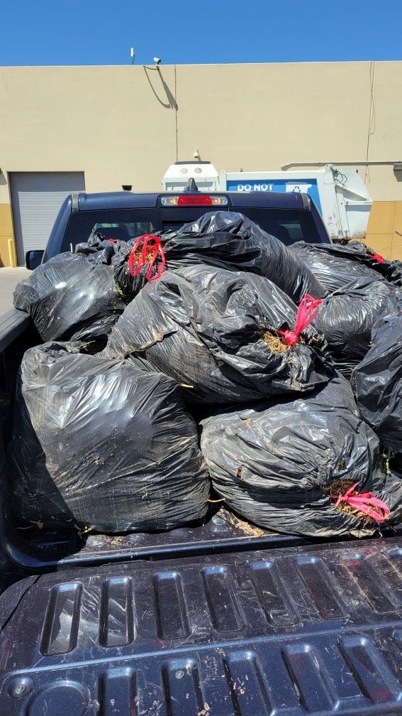 Yard And Trash Pickup