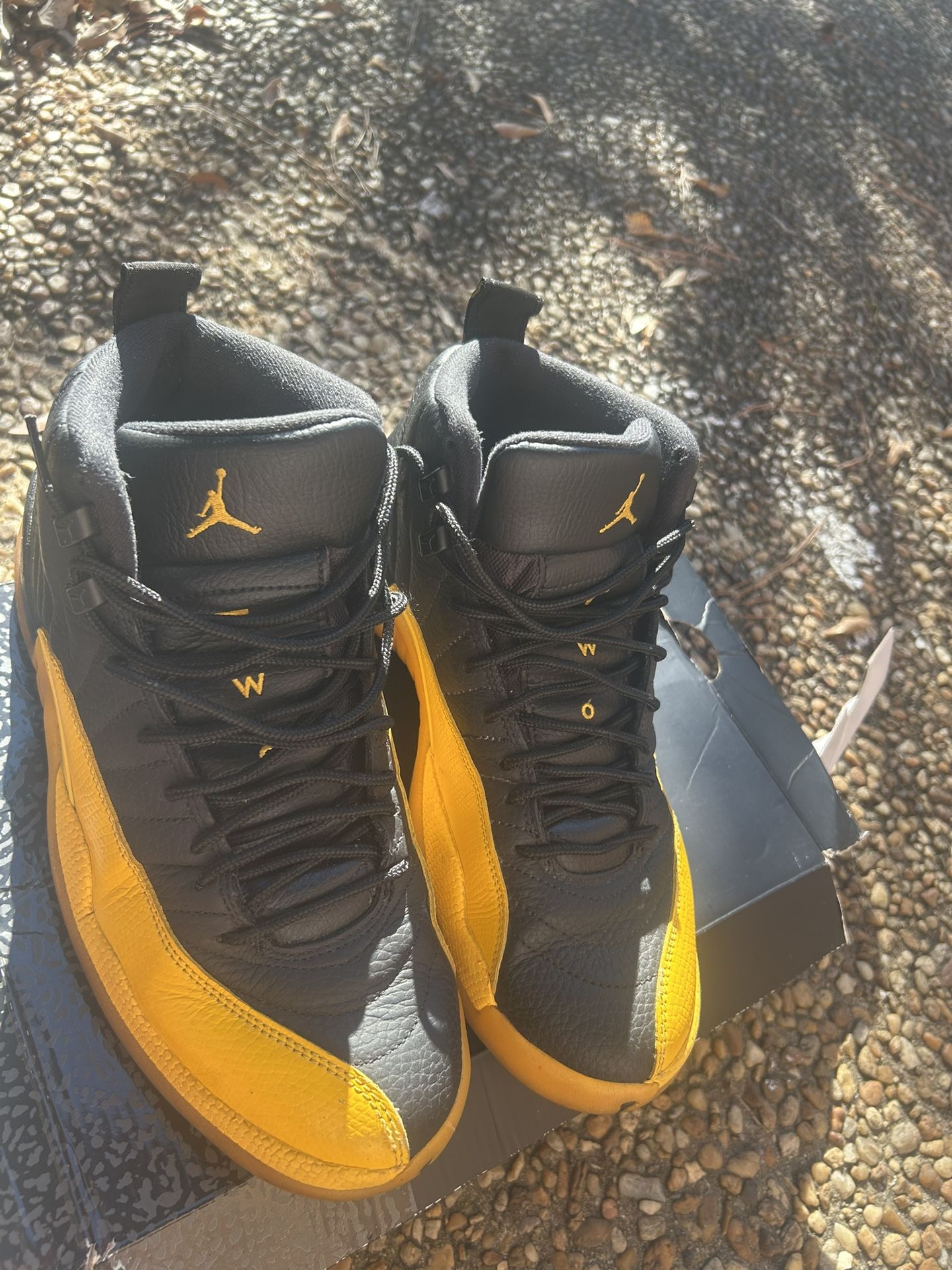 Jordan 12