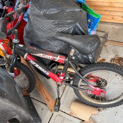 Free F R E E bike