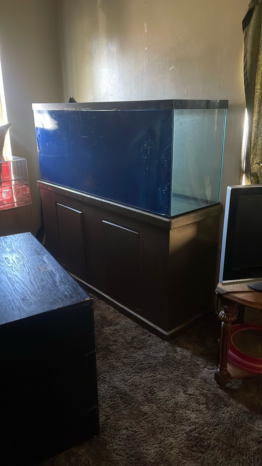 Fish Tank
