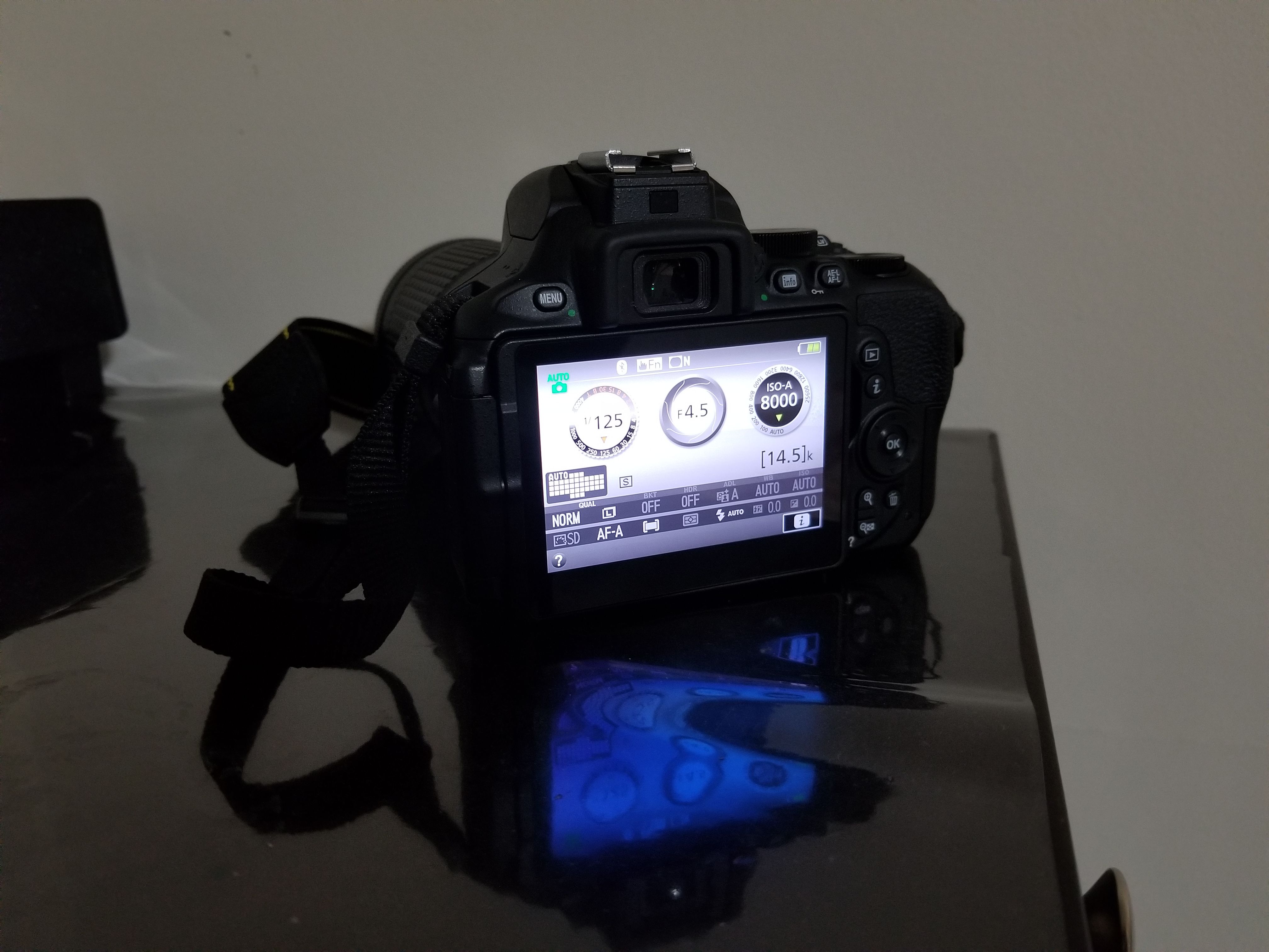 Nikon DX D5600 DSLR (TRADE)