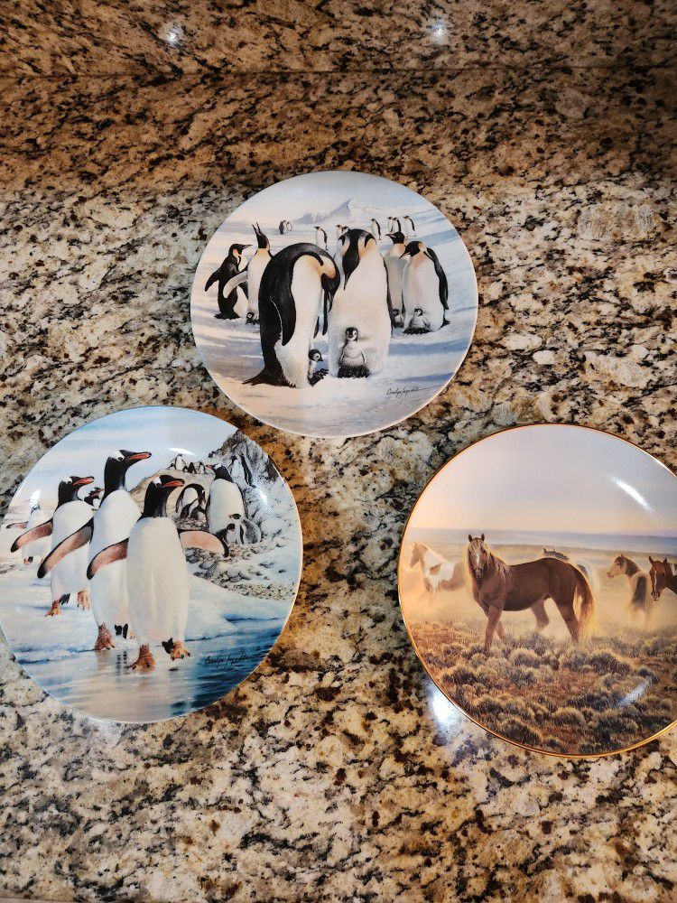 7 Wildlife Collectible Plates.  One Low Price 