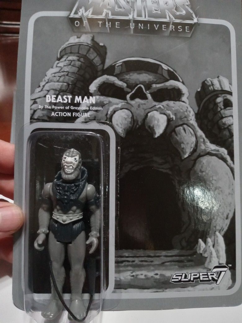 Masters Of The Universe Action Figures