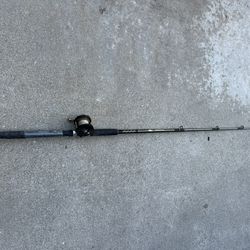 Penn Slammer Rod with Reel