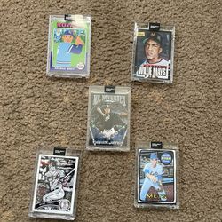 TOPPS Project 2020