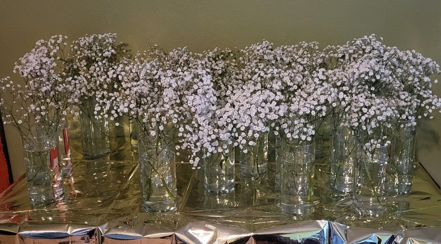 Free FRESH BABYBREATHS