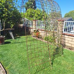Metal Arch Trellis 