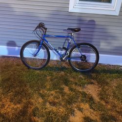 Trike Single Track 950