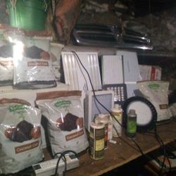 Grow Stuff 