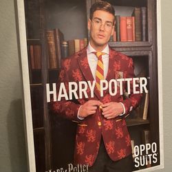 Harry Potter Costume