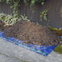 Free Topsoil/Fill Dirt