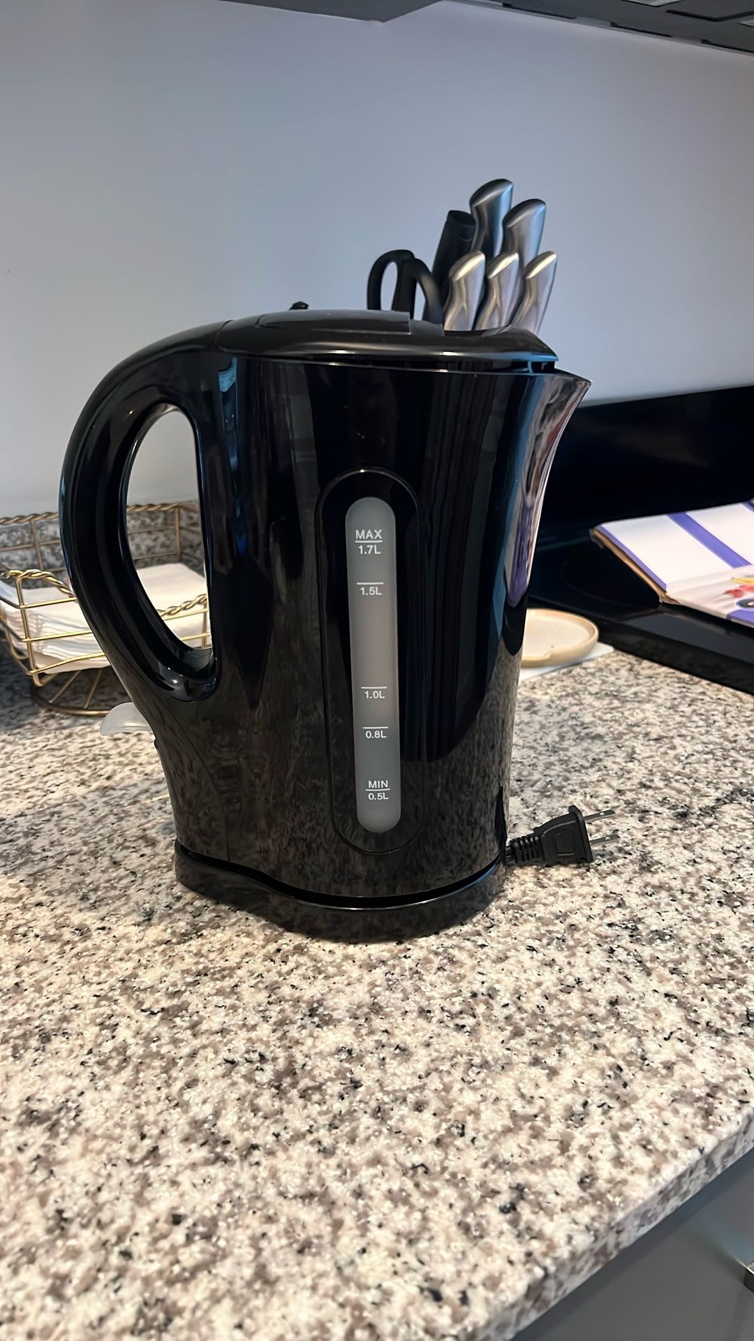 Electric Kettle