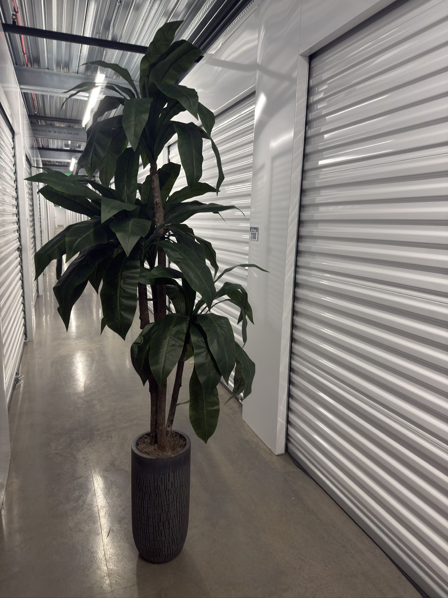 Artificial Plant