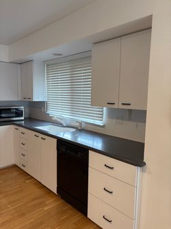 Modern kitchen cabinets