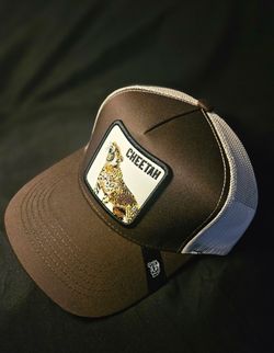 Cheetah trucker hat 5 bucks today