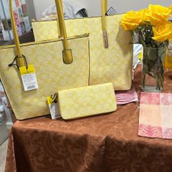 Bonito Set De Carteras  De 3 Piezas 