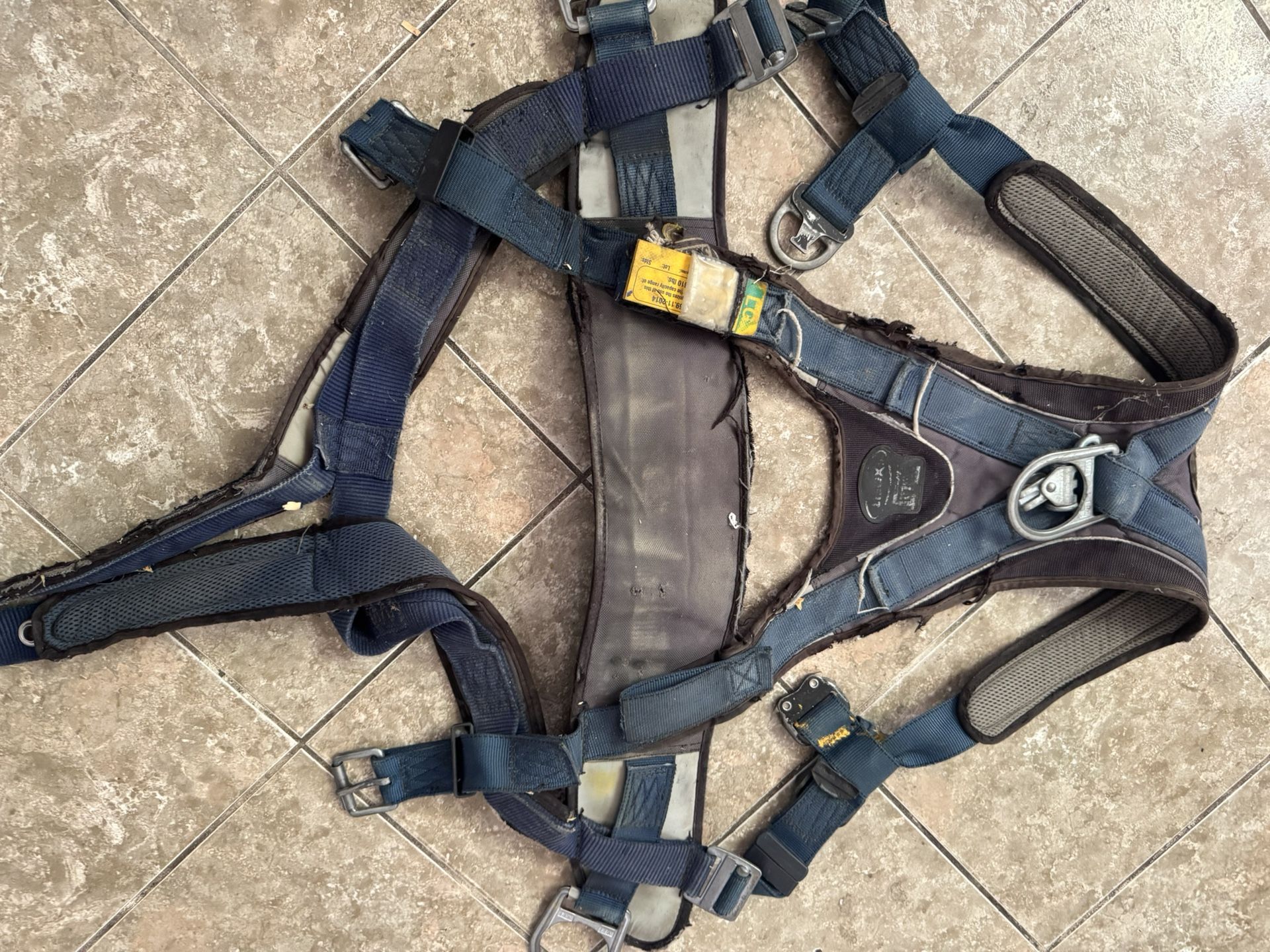 Harness