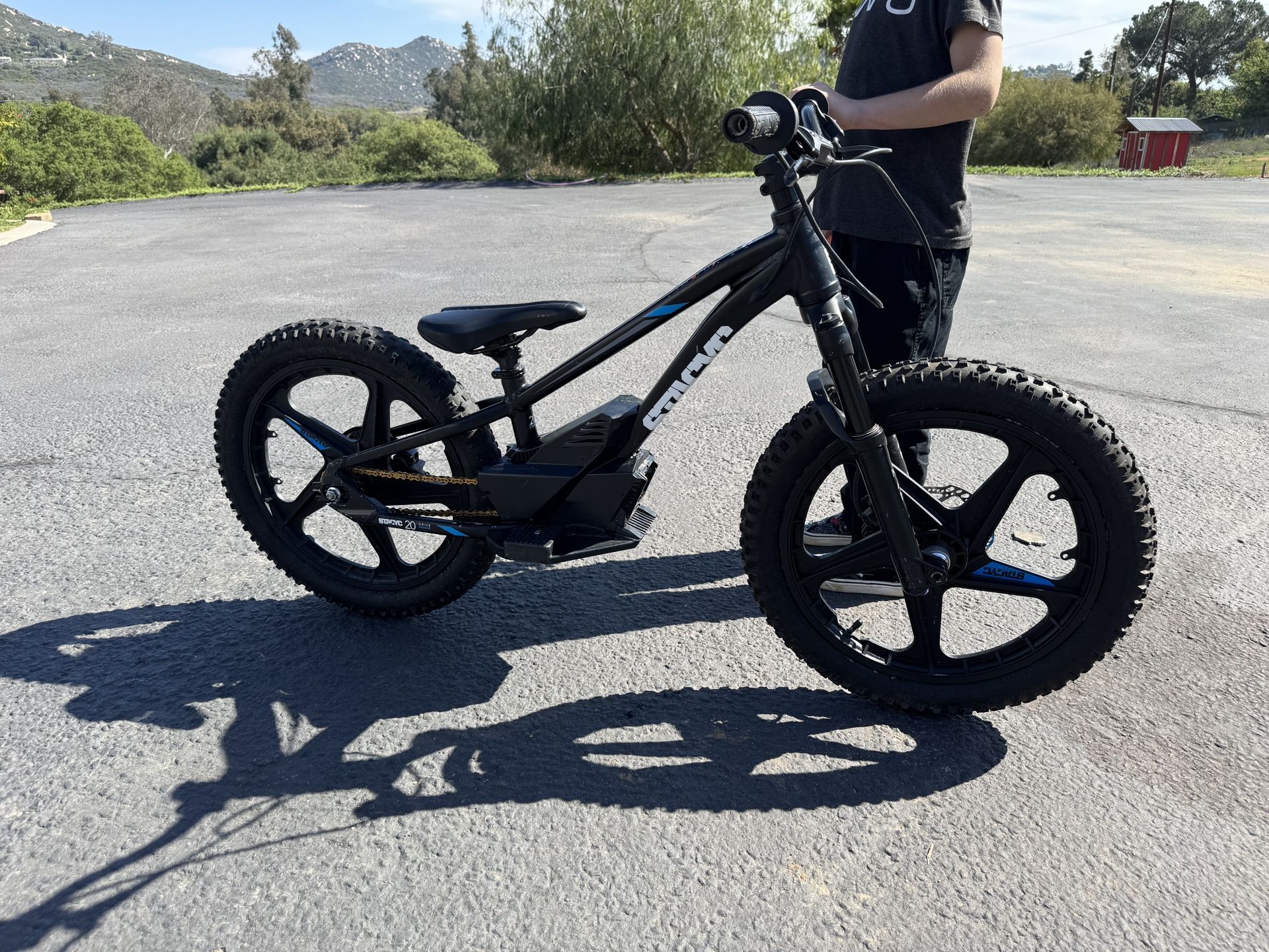 Stacyc 20e - Kids Electric Bike