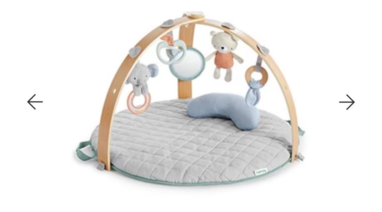 Ingenuity Activity Gym