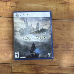 HOGWARTS LEGACY