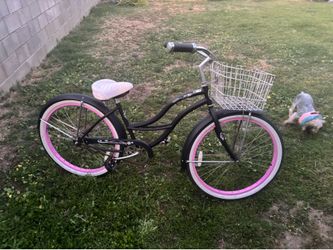 Beach cruiser