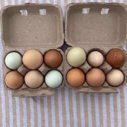 Organic Chicken Eggs For Sale Saturday 5/11
