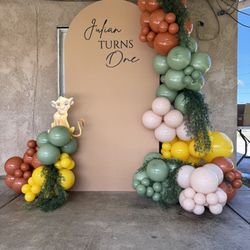 Birthday Party Decorations Setup