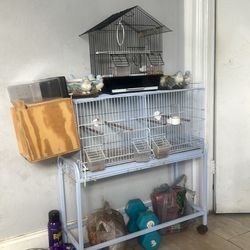 Bird cage