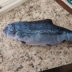 Floppy Fish Cat Toy Rechargable.