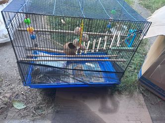 Small bird cage and accessories