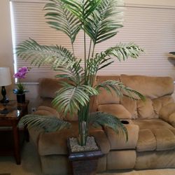 7' Silk Palm Tree - Like New