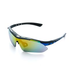 Adamant Polarized Sunglasses NEW 