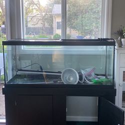 50 Gallon Tank With Stand And Lamps 