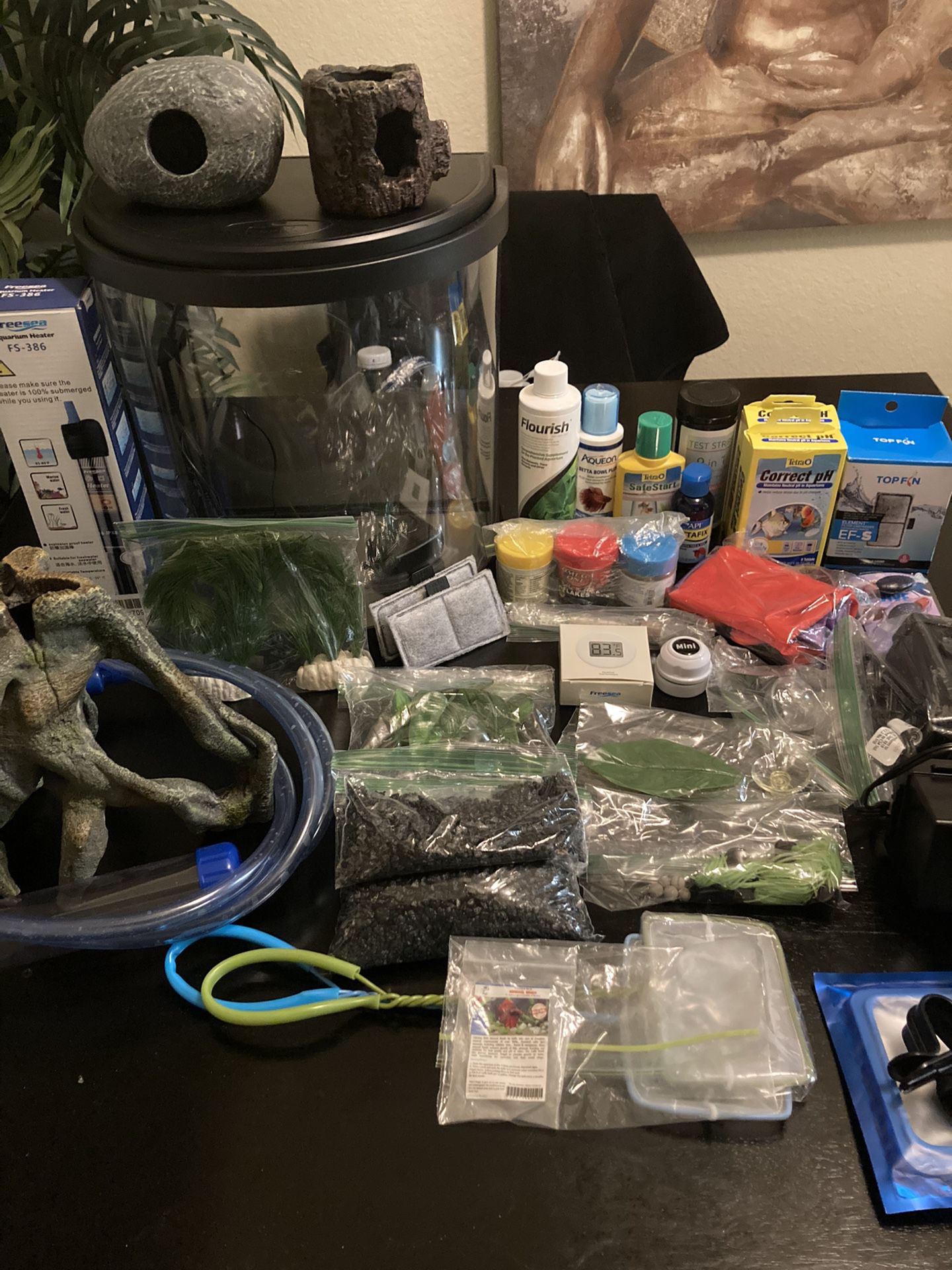 5 Gal Tank W Light & Everything You Need + Extras