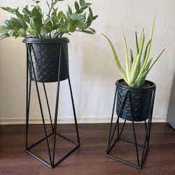 Set Of 2 Plant Stand