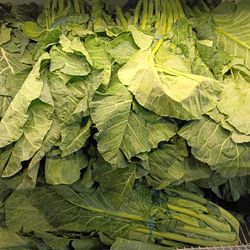Fresh Collard Greens