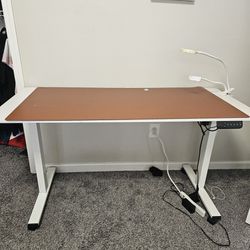 Electric High Adjustable Table 