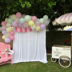 Paleta Cart/