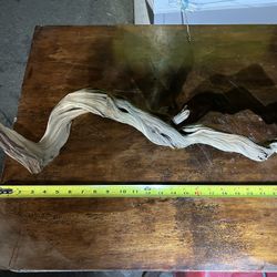 Fresh Sanded Mananita Reptile Tank With Wood