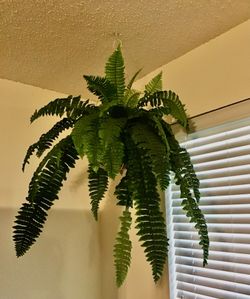 Artificial Hanging Basket Fern