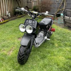 2011 Honda Ruckus