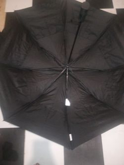 Umbrella 