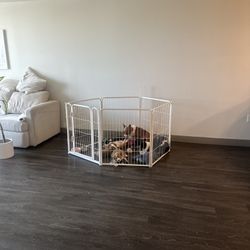 Indoor Dog Playpen