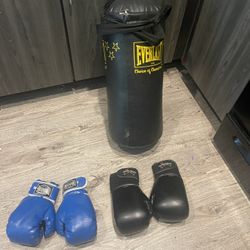Kids’ Boxing Set – Everlast Bag + 2 Pairs of Gloves – FREE Delivery 