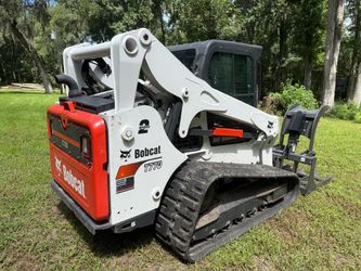 Bobcat