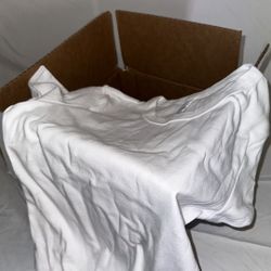 Small Female Baby Tee