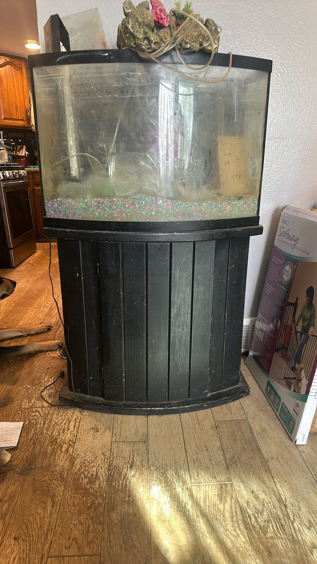 Aquarium