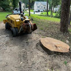 Stump Grinding 