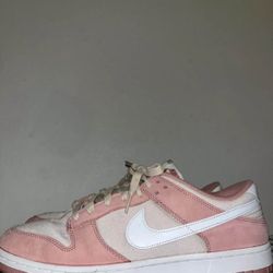 Nike Dunk “Stardust” Size 14